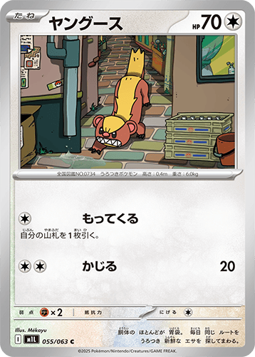ヤングース